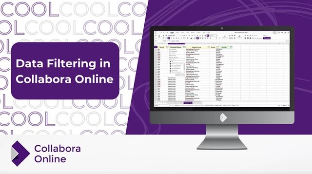 How to Use Filtering in Collabora Online Calc Spreadsheets