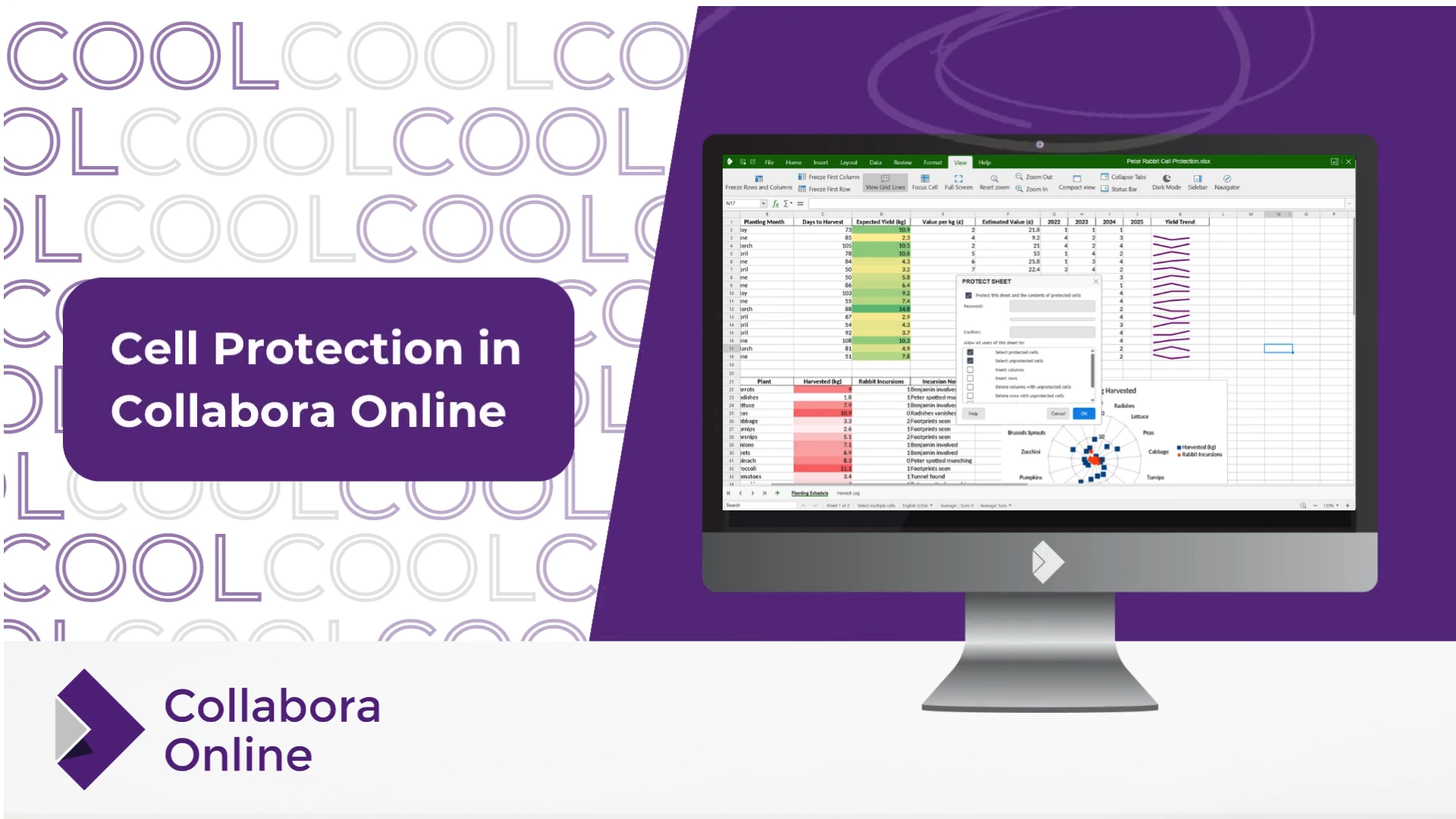 Cell Protection in Collabora Online #FeatureFriday